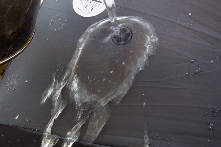 Pɂ8ނ̉Ɩ䂪vgBɁAʂƂ܂܂ȉƖ䂪oƂy݂