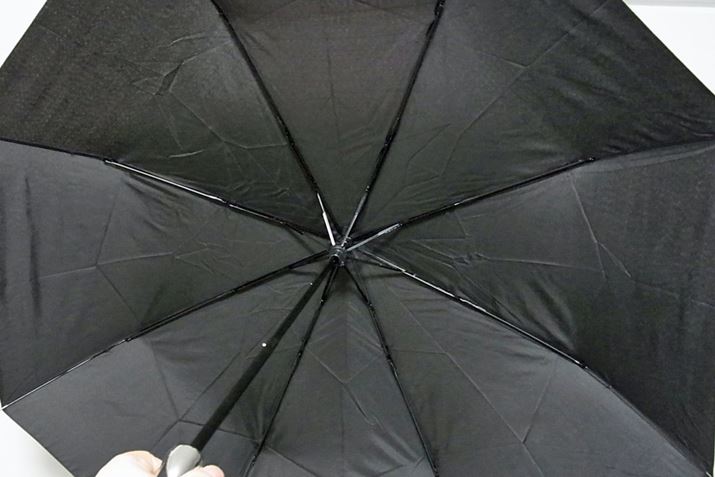 ƈ̂łˁBȂ݂ɁAPLa͖98cmƐ܂肽ݎł͏\ȑ傫