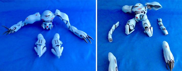 roĐp̂p[cƌBrOĒܕɃWFbgpbNtĂ܂