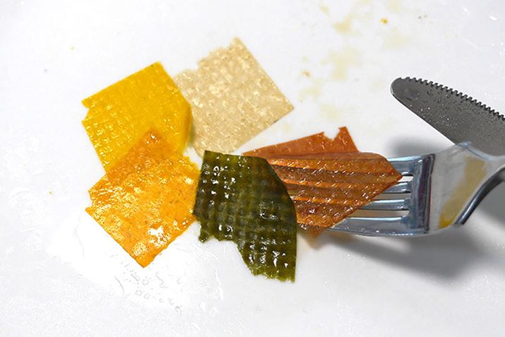 ĐHׂAقږ؃T_݂Ȃ!?