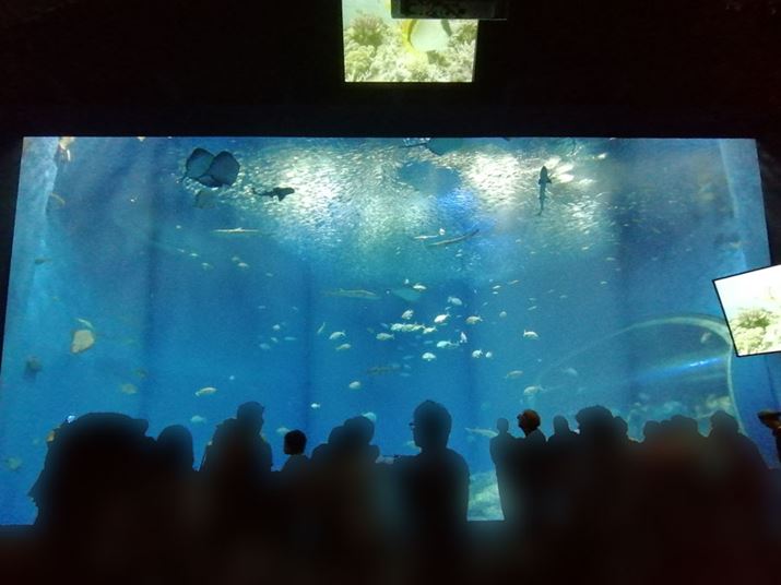 Ɠ\}LpJŎBeBŜ\}Ɏ܂