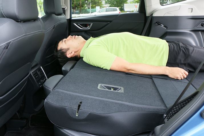 猩ƁAʂ瓪Ă܂ĂI ł́AKɐQ邱Ƃ͂łȂ