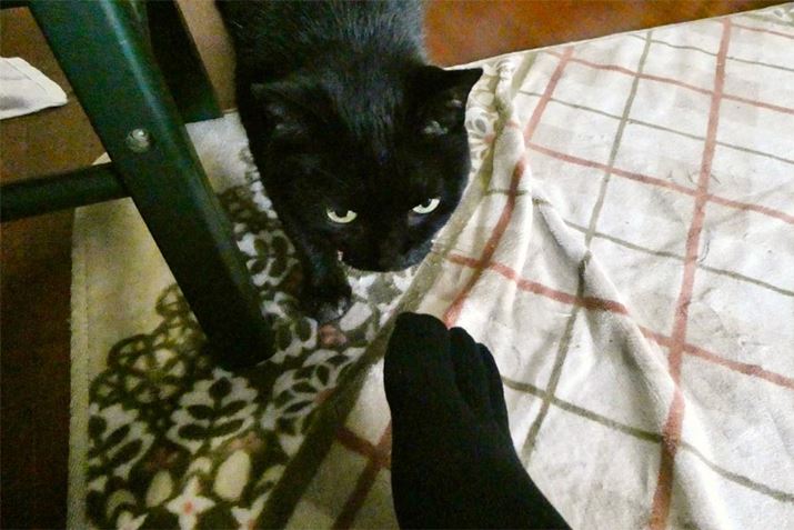 ĽӖiS}jɂȂĂ炢܂