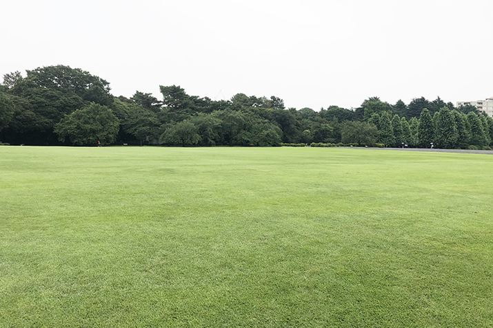 ȂǍLXƂOŃP[VCWP[^[͖𗧂