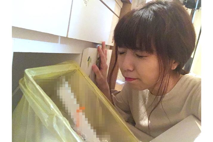 cc܂[̃pbNԃp`ĂĂ܂()