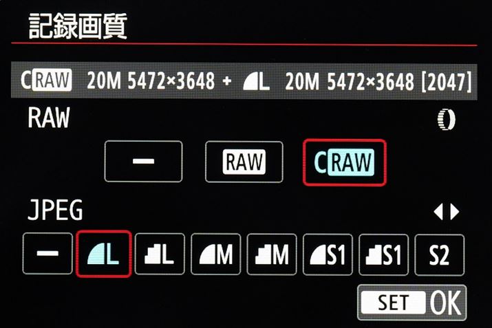 ŐV̉fGWuDIGIC 8v̗pAC-RAWiCR3`jɑΉ