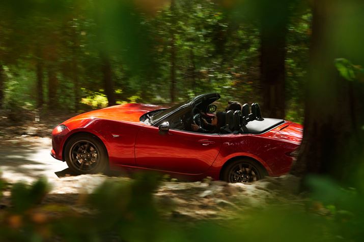 [tJ΁AJӂhCuy߂̂uI[vJ[v̑햡ł