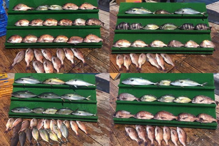 KꂽCނx̒މʏɂ́AA啨ʂɁI