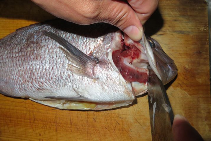 ؂JAGƃn^B΃GƈꏏɃn^ňCɎ悤