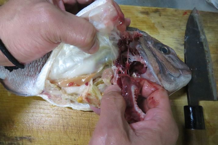 񂻂ȋZpȂĂAJĎňΖȂ