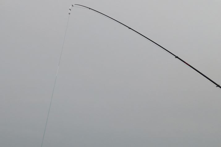 uv͒31^CvCAbvB⍪̑ނł􂷂邾낤