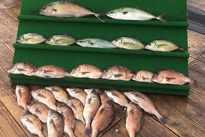 `ŏЉAM҂̂RׂŃooނグĂA̒މʂB܂