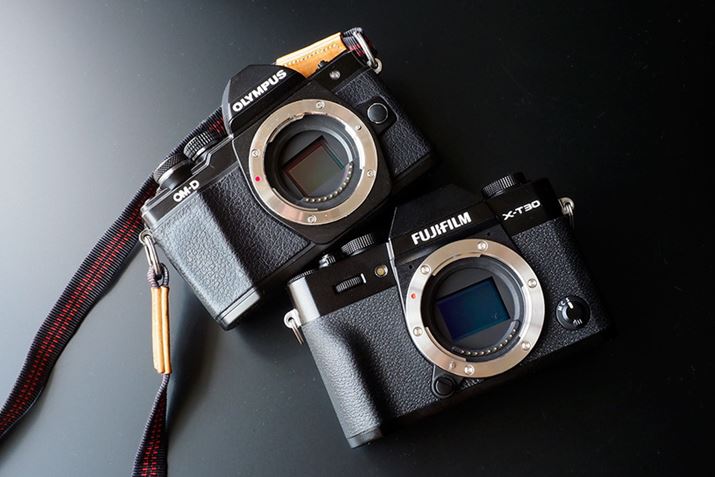 IpXuOM-D E-M10 Mark IIvƔrĂ݂ƃTCYdقړ