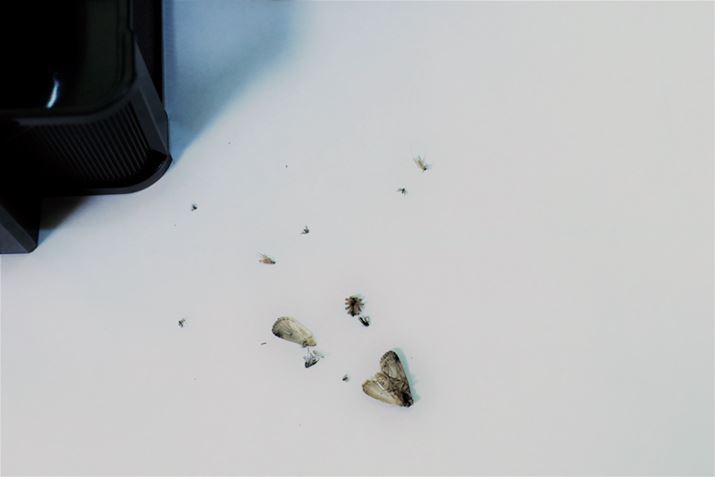 �z�����܂��Ƃ��Ƀo���o���ɂȂ������c�̎p���c�c����Ȃ�A���Ƃ͂����S�~�Ƃ��Ď̂Ă邾����OK�ł�