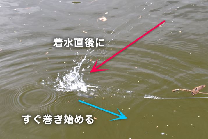 ƓɃu[h񂷂ƂɂāAʂŒ˂o