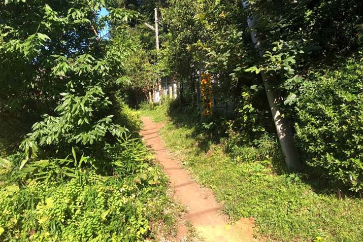 悳ȃgCĂA]ԑsĂȂΑ邱Ƃ͂łȂ