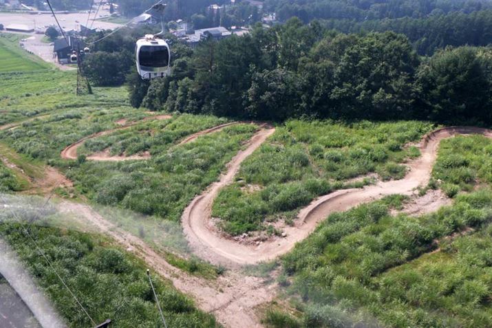 Sh猩AvX_EqR[XBȂȂ肭˂Ă