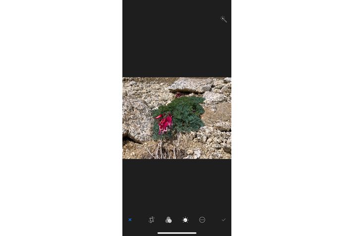 iPhonéuʐ^vAv̕ҏWʁBʉEƉɕԕҏWc[gĎʐ^C