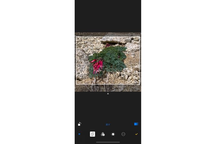 ʐ^s`AEgăg~OBl̑hbOĒĂ