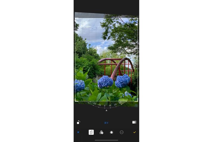 ʐ^̃zC[hbO΁ACӂ̊pxŌXCł