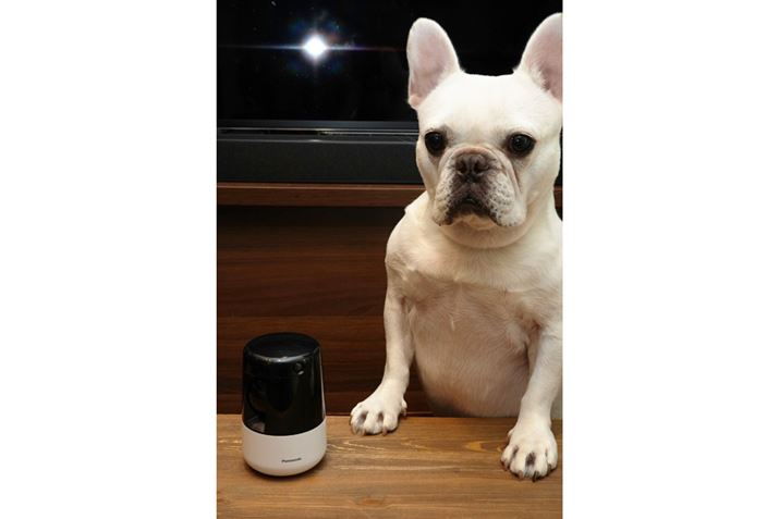 ̃t`uhbǑNƈŜ߂ɂ́ccybgJŉĂ؂I