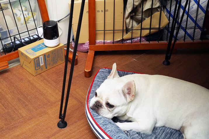 ̐Qɂxbh̖ڂ̑OɃZbg