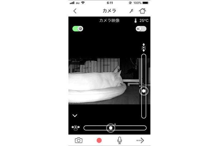 Ȃ݂ɁAԂ̓iCgJƂĕ\Ă