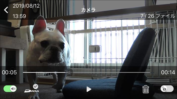 Aߏ̊ώ@߂Ă̗lqrfIŃ`FbN