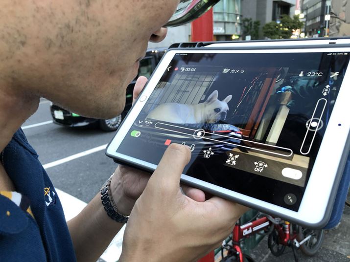 Oo悩Jɐڑă}CNŌĂт