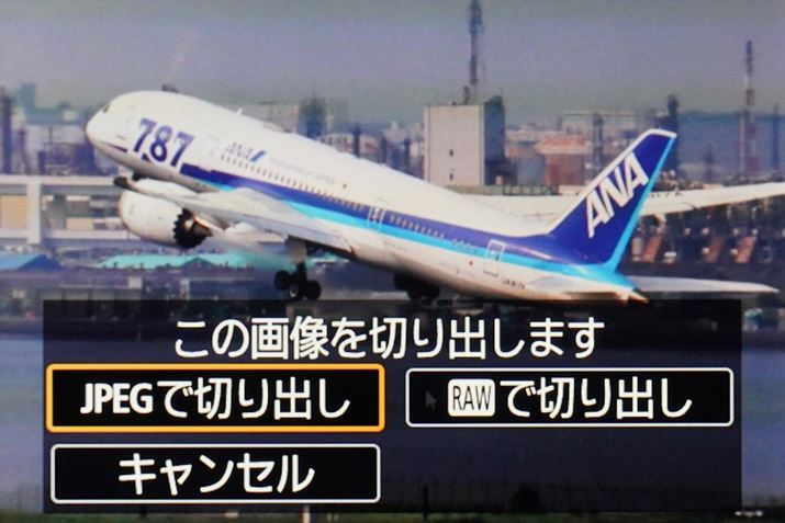 RAWo[Xg[hŋL^CR3t@C̓R}IJPEGRAWŐ؂o