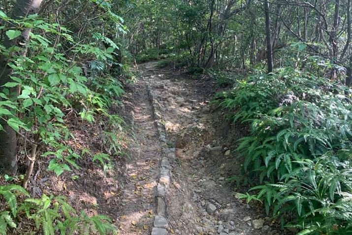 gCgC܂܂ȃT[tFXÂɂuAybcHv͑ΉĂꂽ