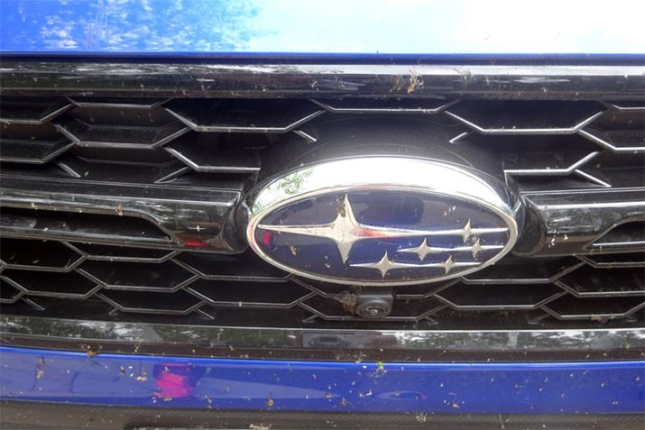 N}̃tgɂт̎[BiKȂ܂gȂ􂢂ŏ\􂢗܂