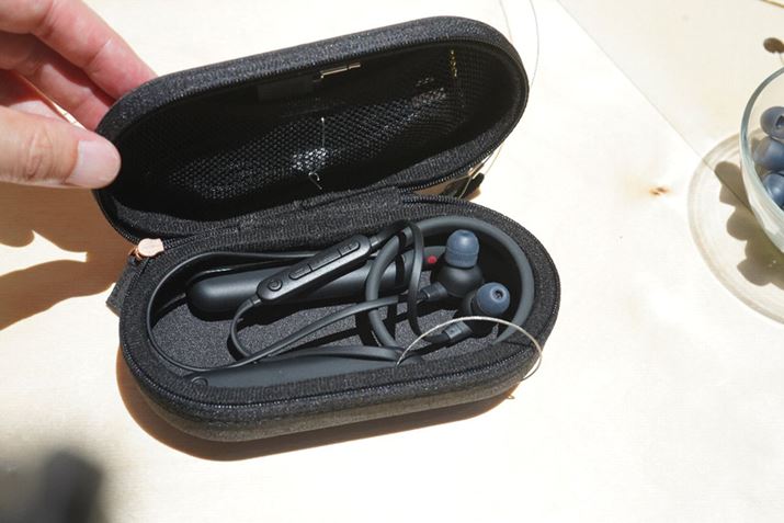 ]@ƔׂĎ^ю̃TCY啝ɏȂ