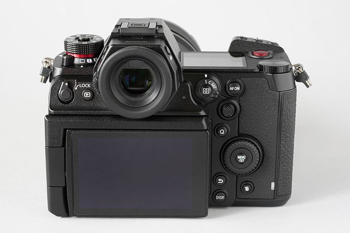 wʂ̃{^E_Cނ̃CAEǵuLUMIX S1vƂقړ