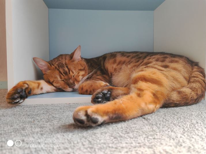 �����̉����ŔL���B�e�B��f����4,800���������߁A�s���g�̍���������ӂ̖т̎����͂��Ȃ�ǍD