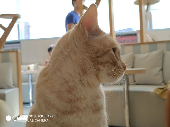 ������͋t���C���̍\�}�BHDR���K�؂Ɍ����Ă���A����ɋ߂���ۂ�