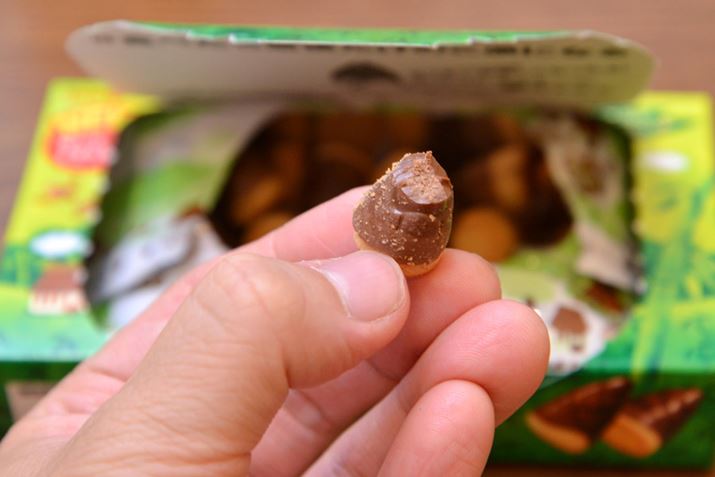 S̓IȂَqƂẴoXyނȂû̗vI