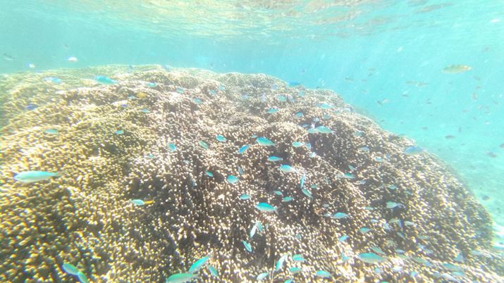 WJgĎBeBTS̎jƁAwi̐ɍ~蒍̌