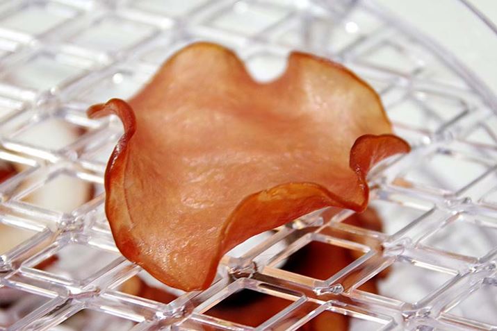 x[RƓʂɁB؂nōĎȂĂ