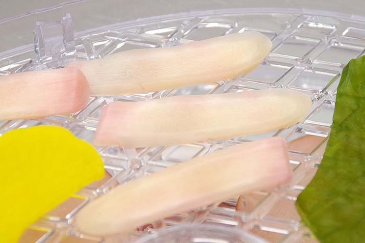 ŏi͒ЕŎB≺̐VI͂ǂȂł傤