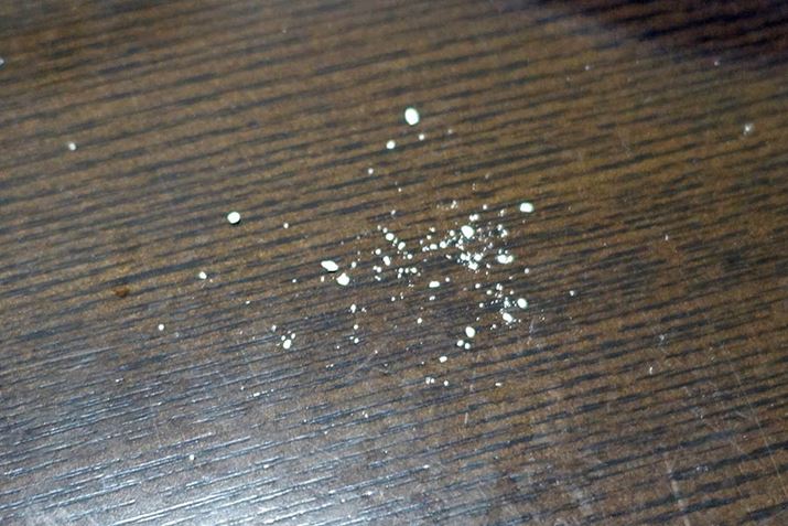 ƂڂłAR!? cc낢Ɠ߂Ă܂