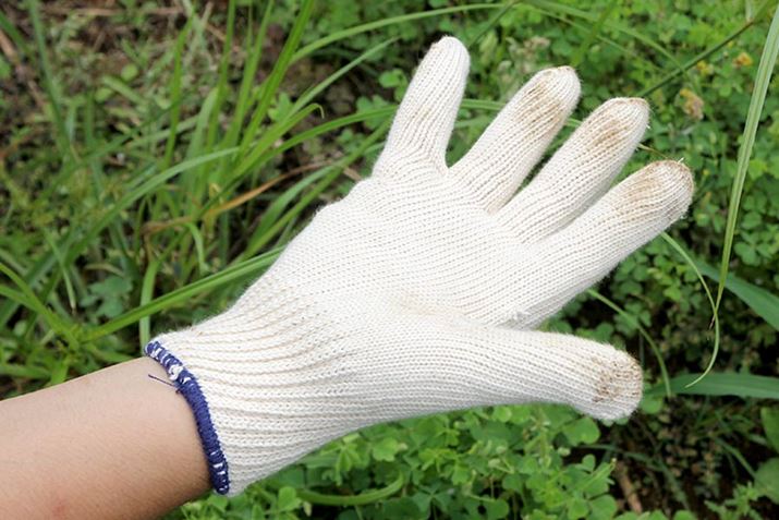 ȁufbNXGvB20Ԏȋj13{̎ŕ҂ł邽ߊ