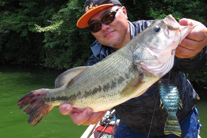 ЂƂŎBêŁAsg̊ɍĂ܂Ă̂͂hcc