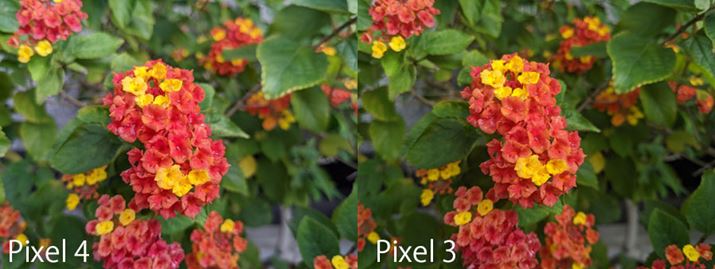 uPixel 4vƁuPixel 3v̍rBuPixel 4v̂قAĂ̂ɋ߂RȐF