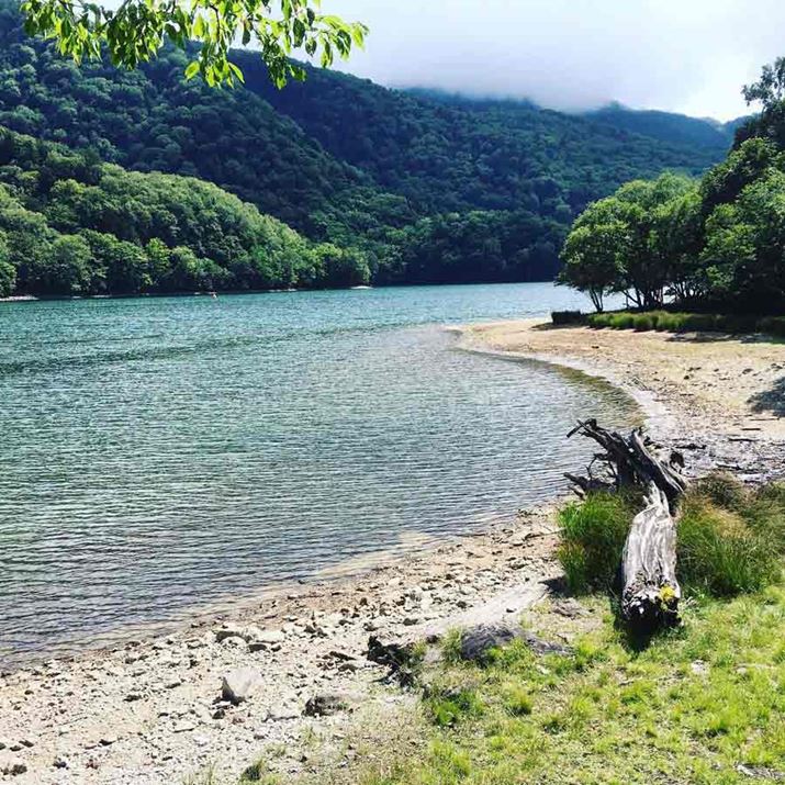 Qnɂۏ̂悤Ȍ΂̂قACłuGNXev͍s