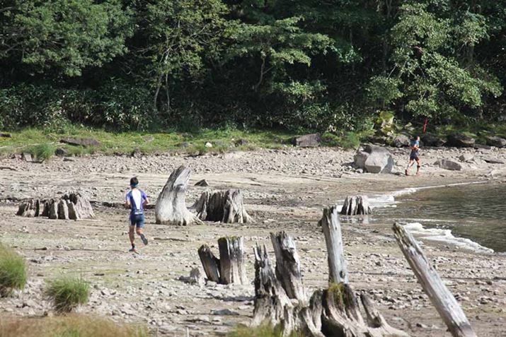 ȂׂR̒n`𗘗păR[X̂uGNXev̓