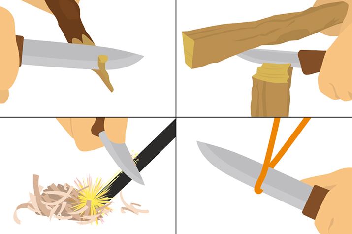 Hނ؂ȊOɂA܂܂ȗprɎĝAEghAiCt̓