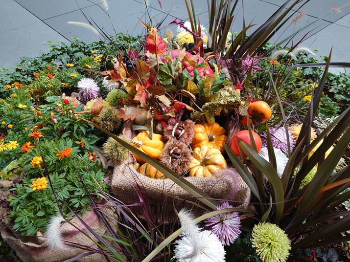 LpJŊXɒuꂽfR[VBeBF𑜓xȂ