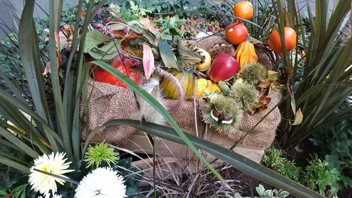 WJŎBeBFƂǂ̏̔F͗ǍD