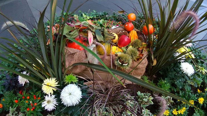 Ɠ\}LpJŎBeBLpJ؂ւĂ掿̌X͕ςȂ